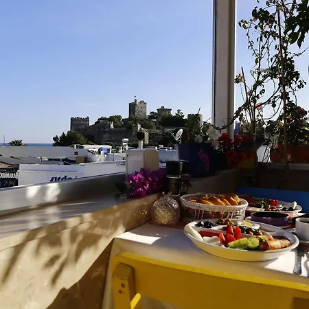 Hotel Can Bodrum 호텔 4*